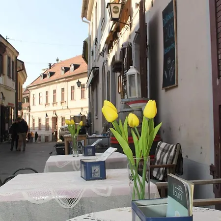 Afrodite Apartament